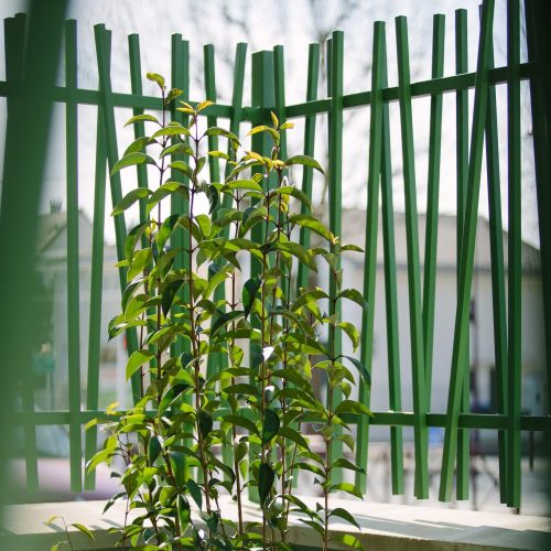 HOME CONCEPT engagement RSE promoteur immobilier Ile de France