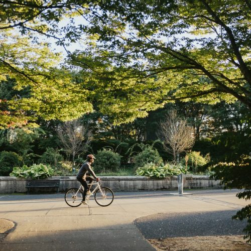 iStock-1433006462_RyanJLane_BD