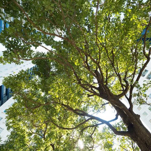 iStock-507032042_y-studio_BD